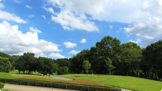 笠間芸術の森公園の芝生広場。青空と白い雲の下になだらかな緑の丘が広がり、手前には石畳の遊歩道と刈り込まれた生垣が続く