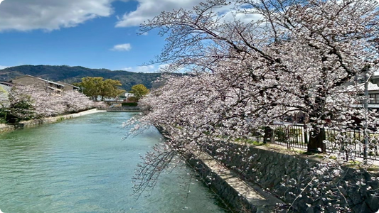 京都で器を買う｜五条坂・茶わん坂から清水焼団地まで