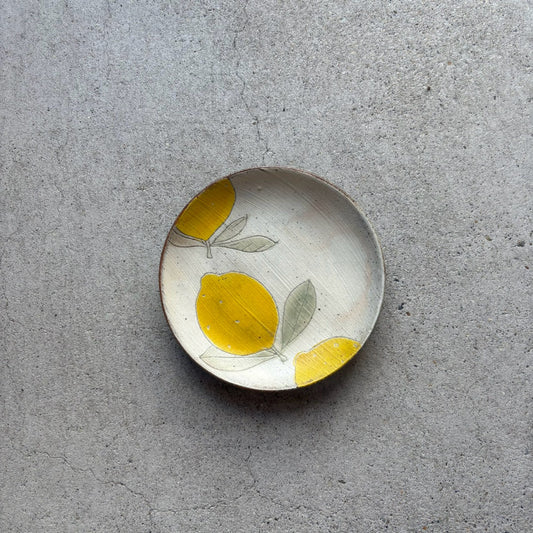 Colored Round Flat Plate (Medium)