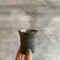 Seaweed Teacup
