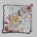 桜と柴犬　Shiba Inu Beneath the Cherry Blossoms