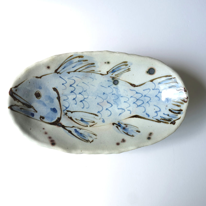 腔棘魚 橢圓缽