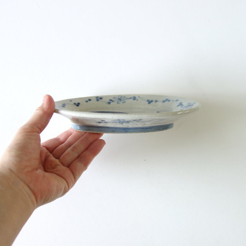 鯨魚 橢圓盤