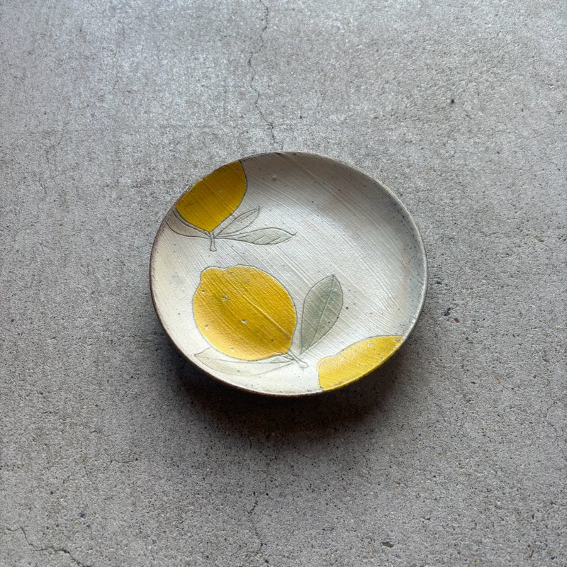 Colored Round Flat Plate (Medium)