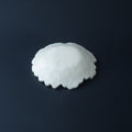 日本陶瓷豆皿，獨一無二的一點物