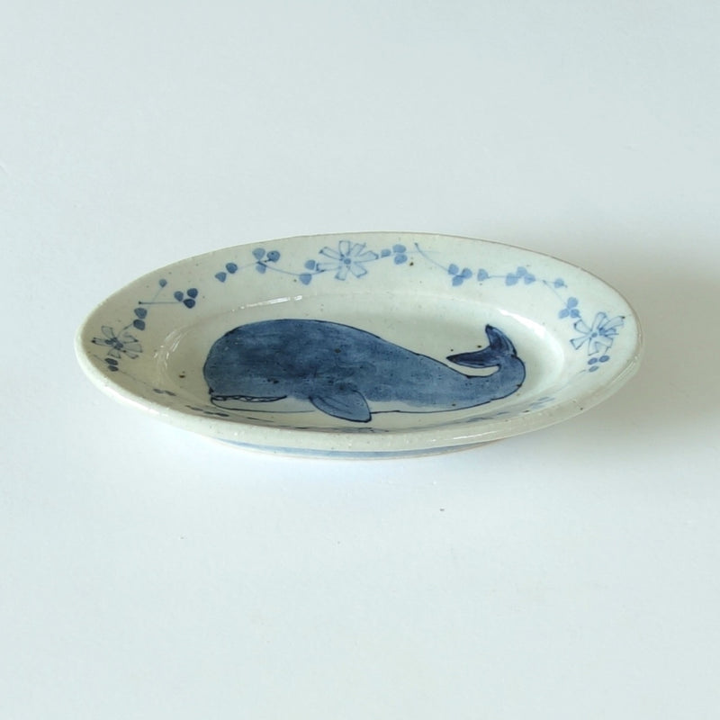 鯨魚 橢圓盤
