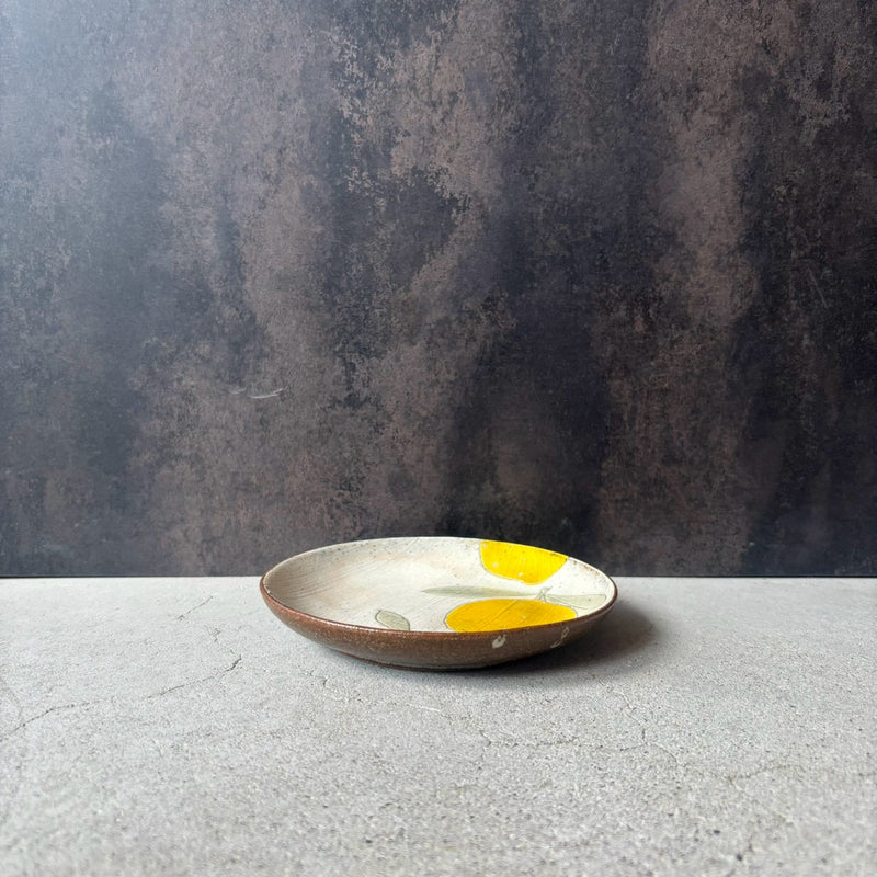 Colored Round Flat Plate (Medium)
