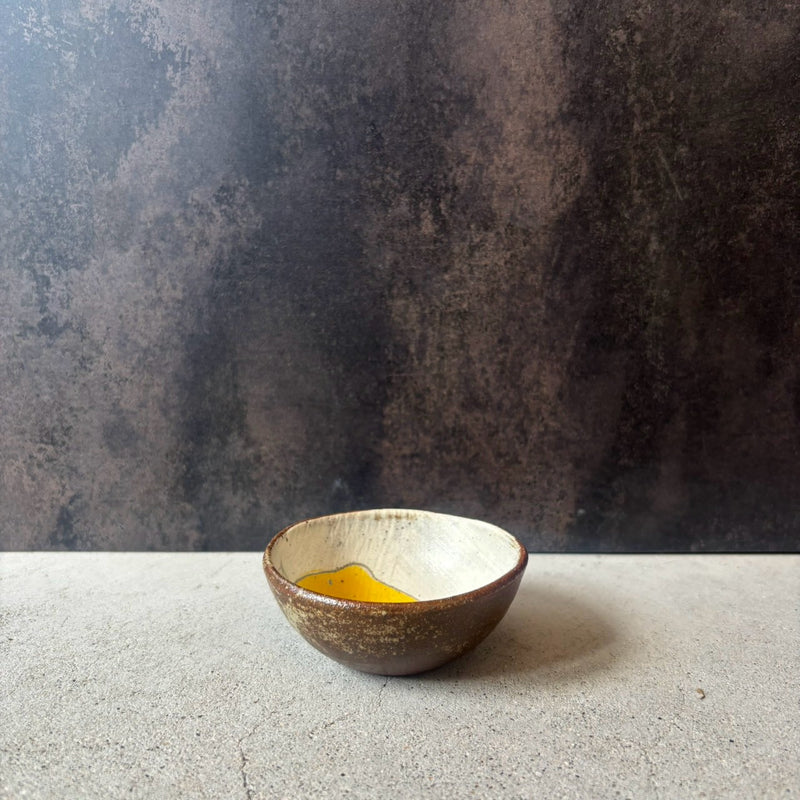 Painted Bean Bowl