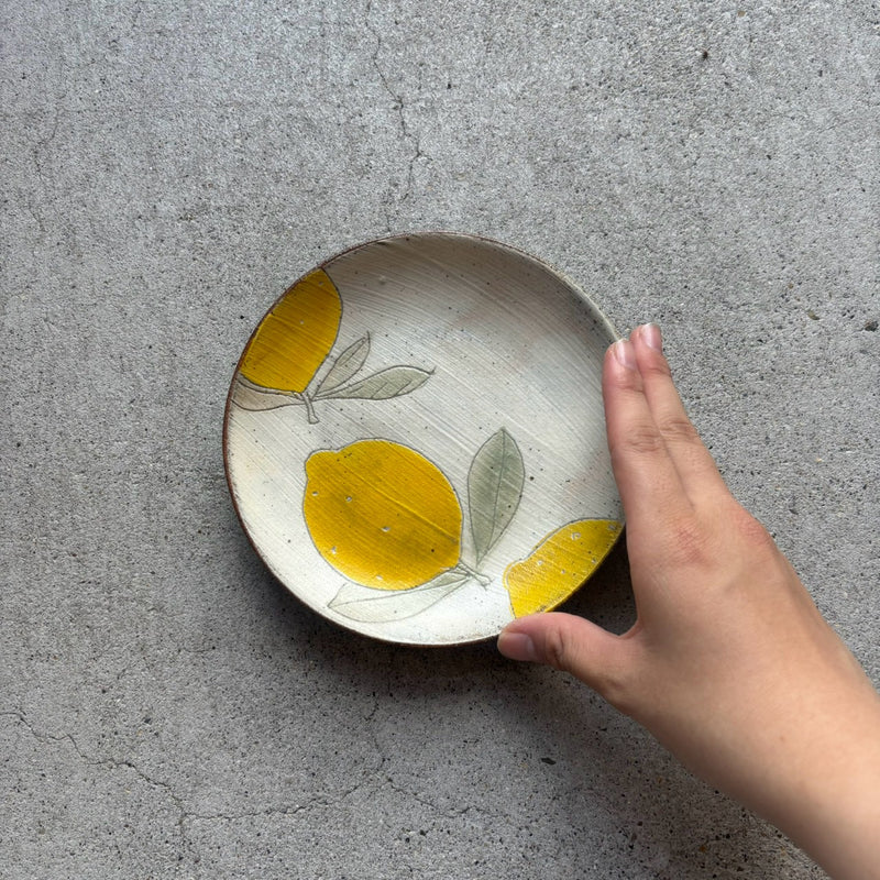 Colored Round Flat Plate (Medium)