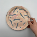 Plate (Large) [TM3]