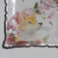 桜と柴犬　Shiba Inu Beneath the Cherry Blossoms