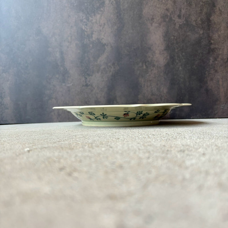 Nozberry 8-inch Rimmed Plate