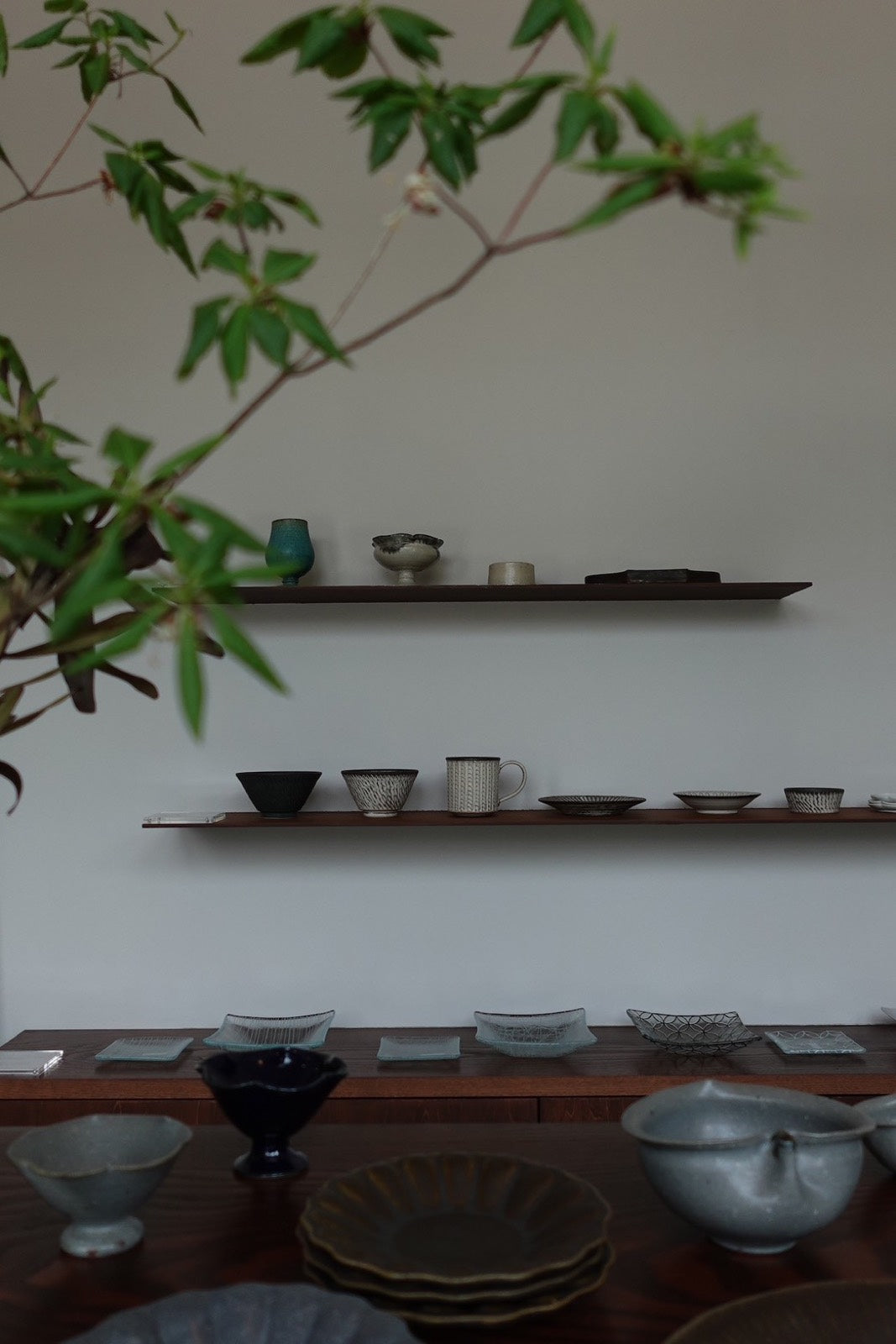 青葉の枝ごしに見る、ガラスと陶器の棚 / Glass and ceramics on a summer shelf behind green branches